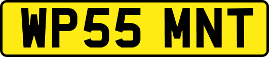 WP55MNT