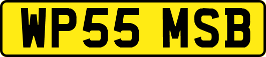 WP55MSB