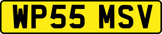 WP55MSV
