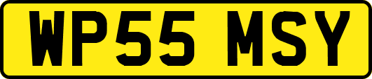 WP55MSY