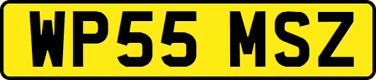 WP55MSZ