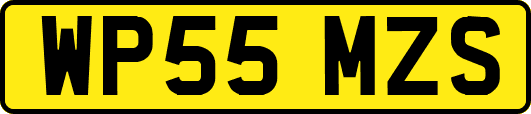 WP55MZS