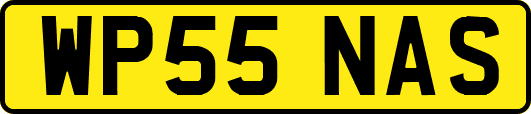 WP55NAS