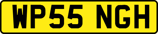 WP55NGH