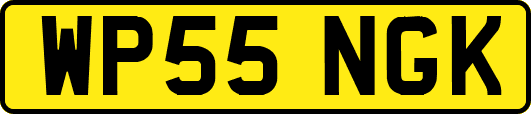 WP55NGK