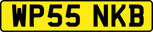 WP55NKB