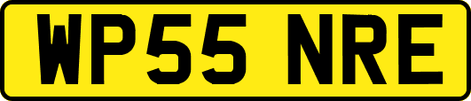 WP55NRE