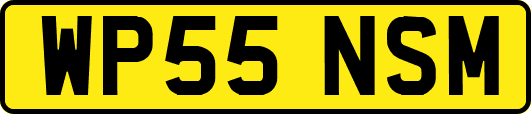WP55NSM