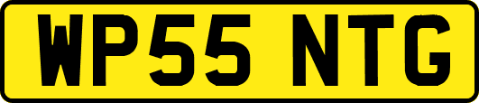 WP55NTG