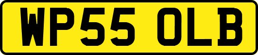 WP55OLB