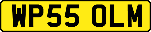 WP55OLM