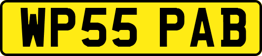 WP55PAB
