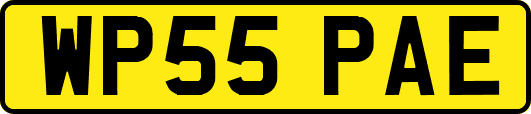 WP55PAE