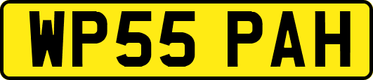 WP55PAH