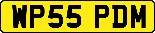 WP55PDM