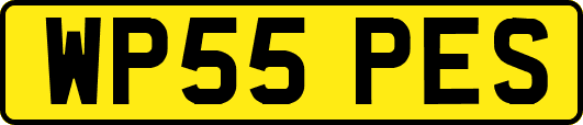 WP55PES