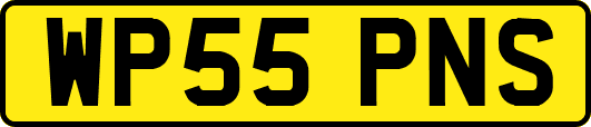 WP55PNS
