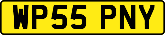 WP55PNY