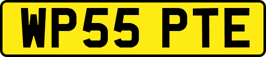WP55PTE