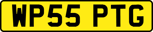 WP55PTG