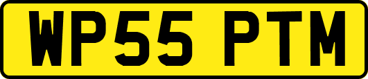 WP55PTM