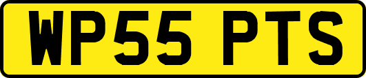 WP55PTS