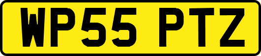 WP55PTZ