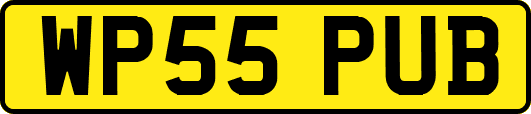 WP55PUB