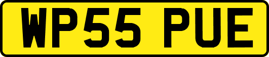 WP55PUE