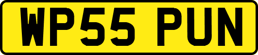WP55PUN