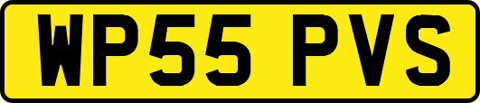 WP55PVS
