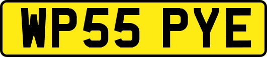 WP55PYE