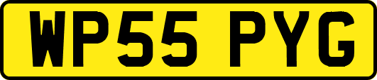 WP55PYG