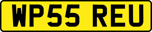 WP55REU
