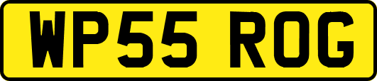 WP55ROG