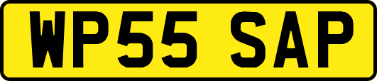WP55SAP