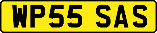 WP55SAS
