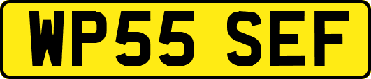 WP55SEF