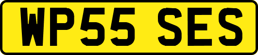 WP55SES