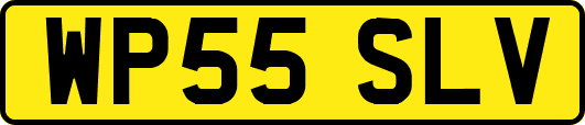 WP55SLV