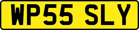 WP55SLY