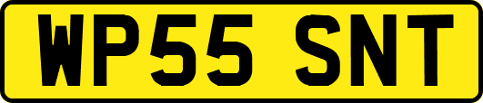 WP55SNT
