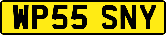 WP55SNY