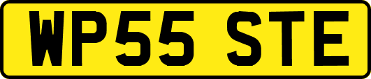 WP55STE