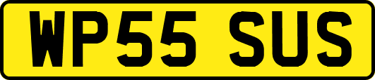 WP55SUS