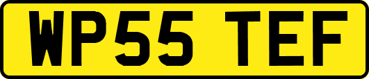 WP55TEF