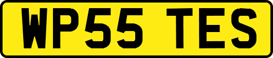 WP55TES