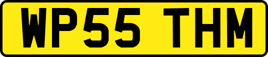 WP55THM