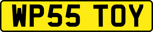 WP55TOY