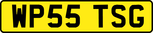 WP55TSG